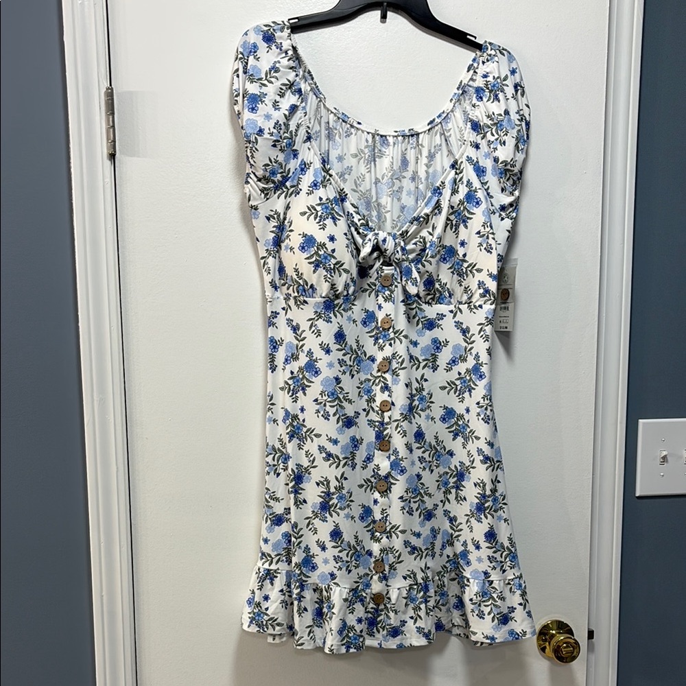 No Boundaries Blue and White Ruffled Dress